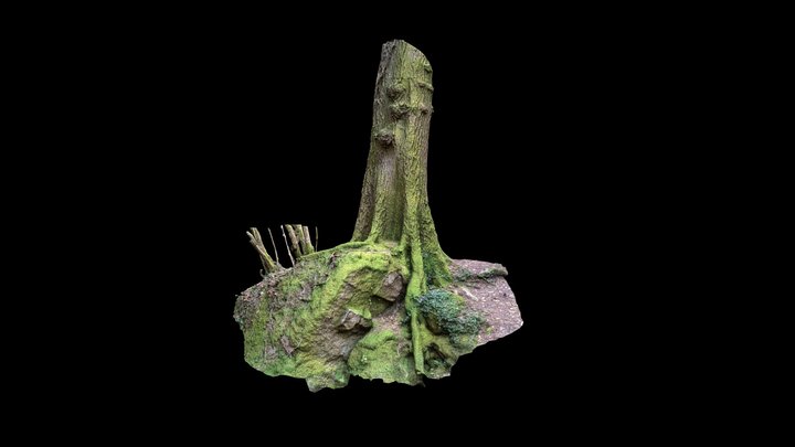 Large Tree base and Rock outcrop #2 - Devon - UK 3D Model