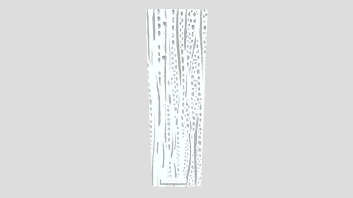 Anatomy of Carpinus (hornbeam) wood