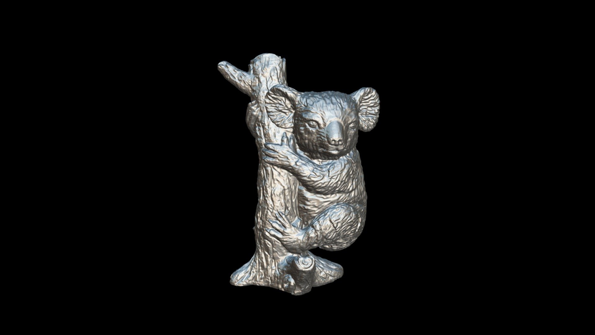 Koala-bear