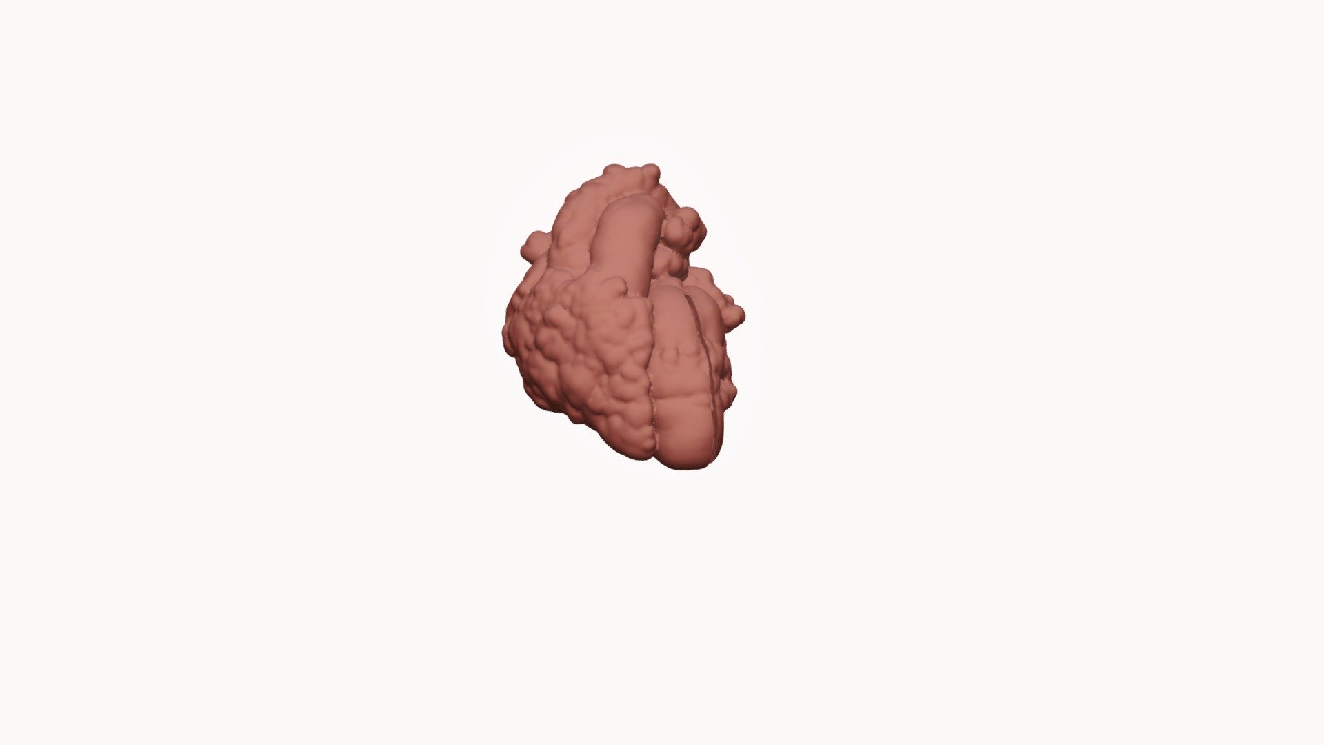 cardi 1 - 3D model by 3DPHSJD [6feae9f] - Sketchfab
