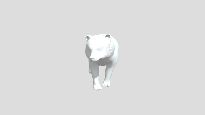 Dynamic 3D Model 5 3D Model