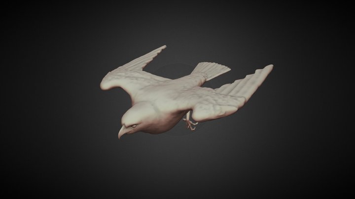 Falcon 3D Model
