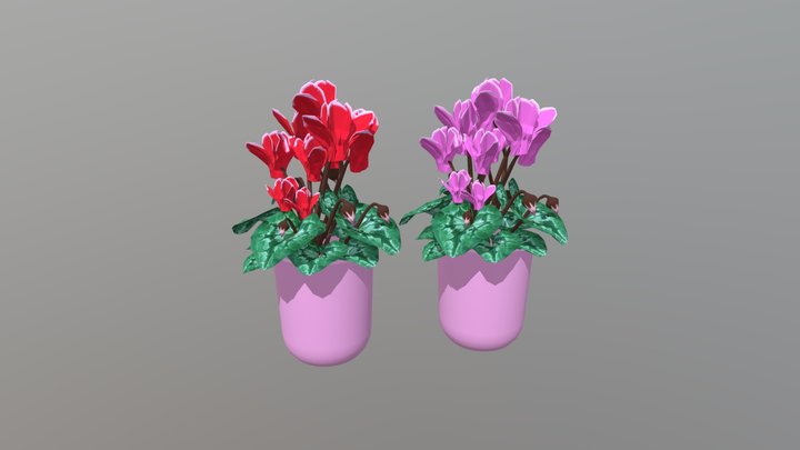 red and pink flowers 3D Model