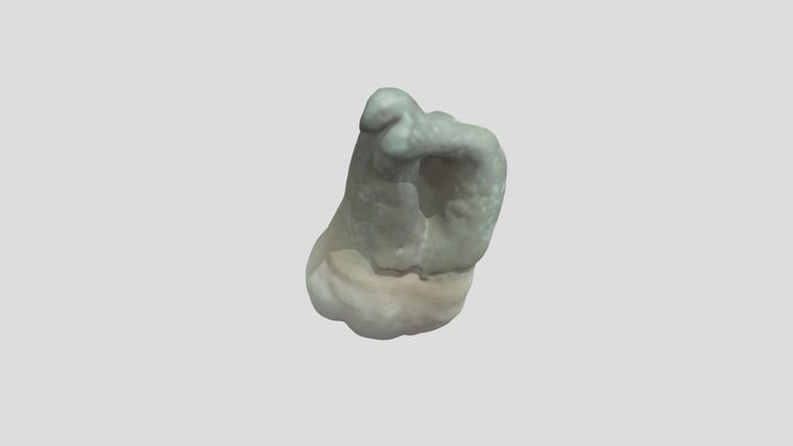 Unlabelled 38.1 3D Model