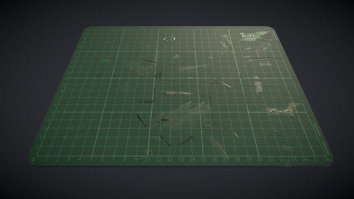 Worn out cutting pad [Props] 3D Model