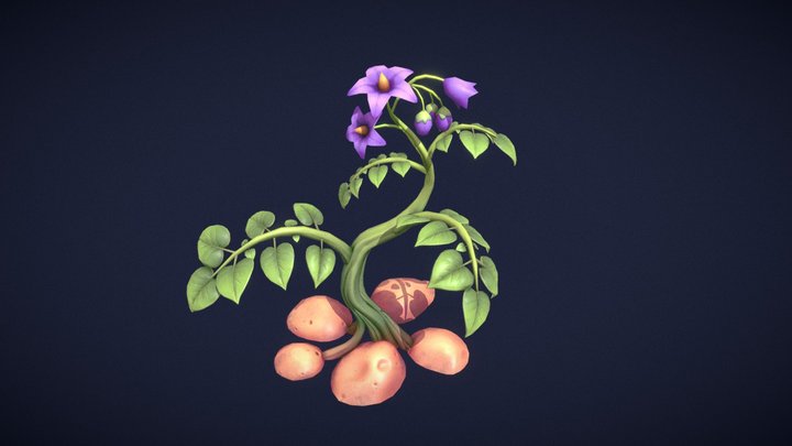 Potato 3D Model