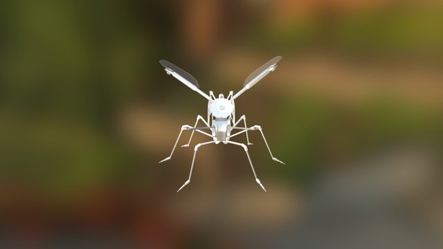 Mosca Principal 3D Model