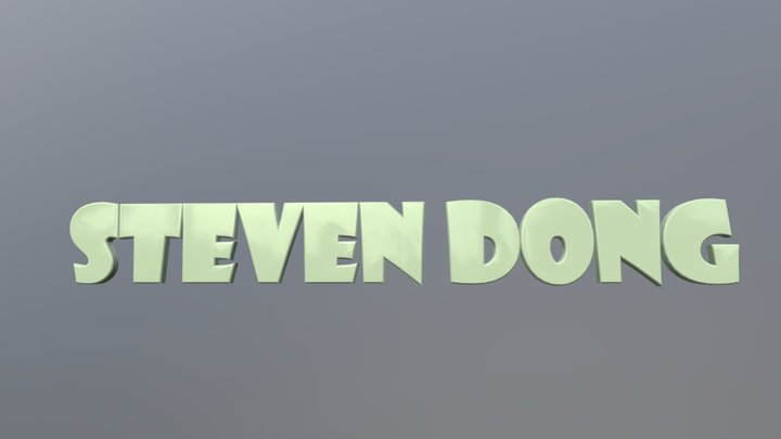 Steven text 3D Model