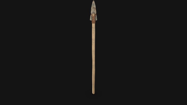 Old Spear 3D Model