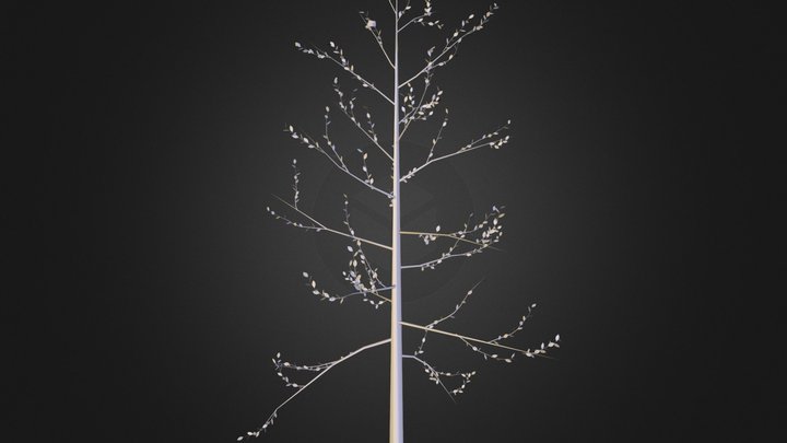Tree 4 3D Model