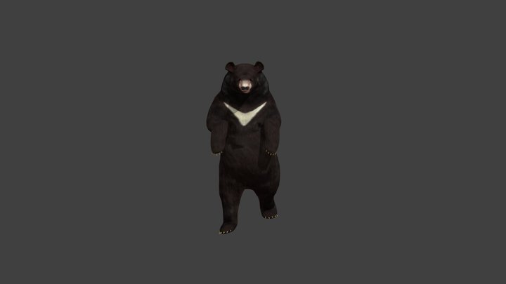 Bear_IDLE_walk 3D Model
