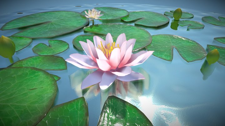 Animated blooming water Lily 3D Model
