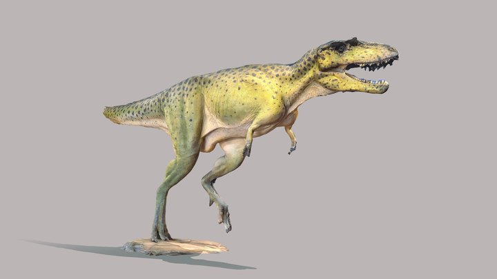 Albertosaurus Split Skeleton 3D Model