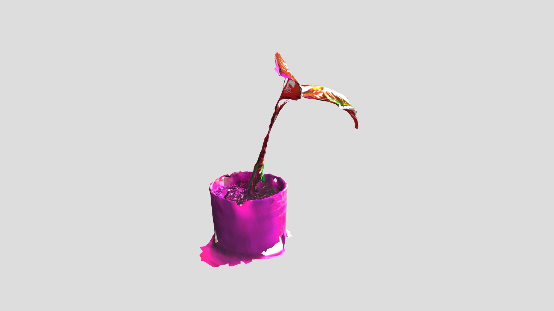 my sick plant skan (apocalypse watermelon)