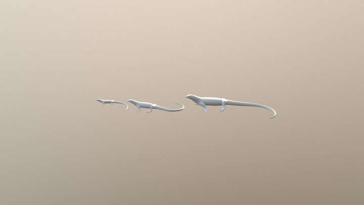 iguana 3D Model