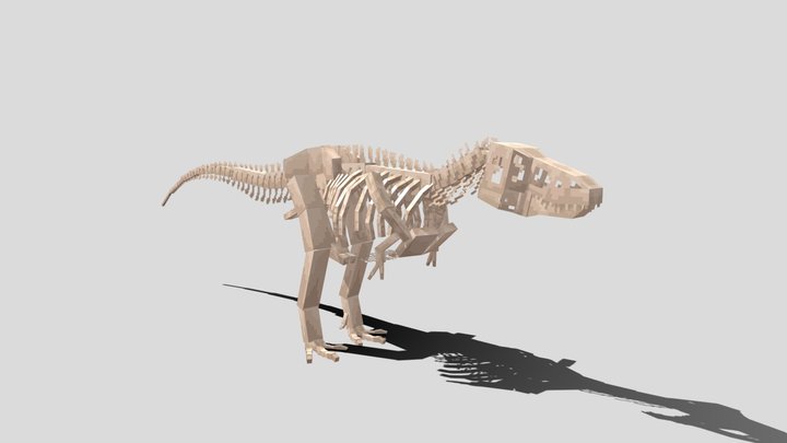 Tyrannosaurus rex Skeleton 3D Model