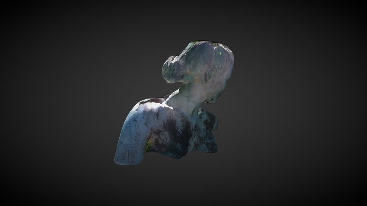 Statue d'une jeune femme (buste) 3D Model