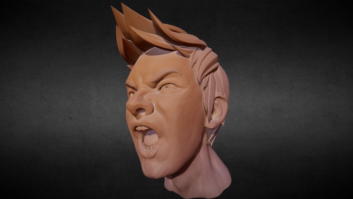 Sculpt January18 Day 24: Anger 3D Model