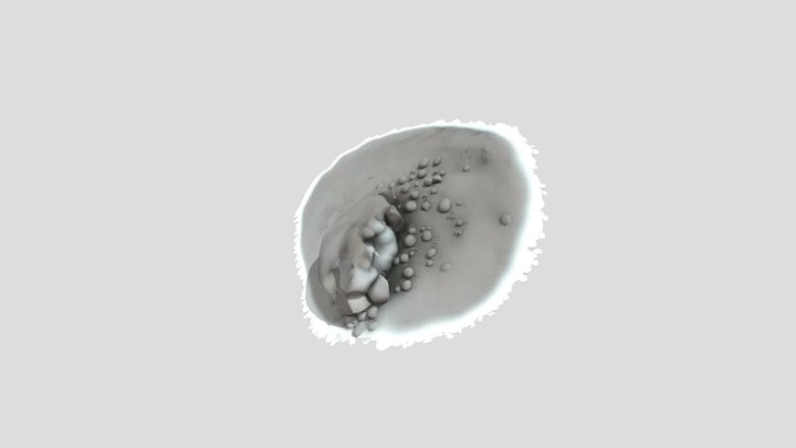rocher rieu sec avec texture 3D Model