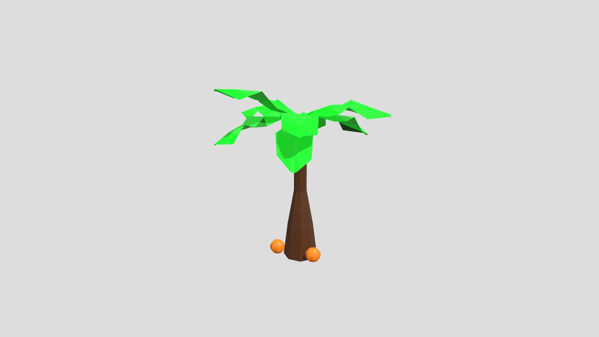 Coconut tree