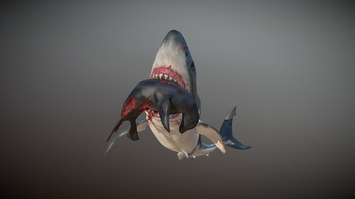 Great White Attack 3D Model