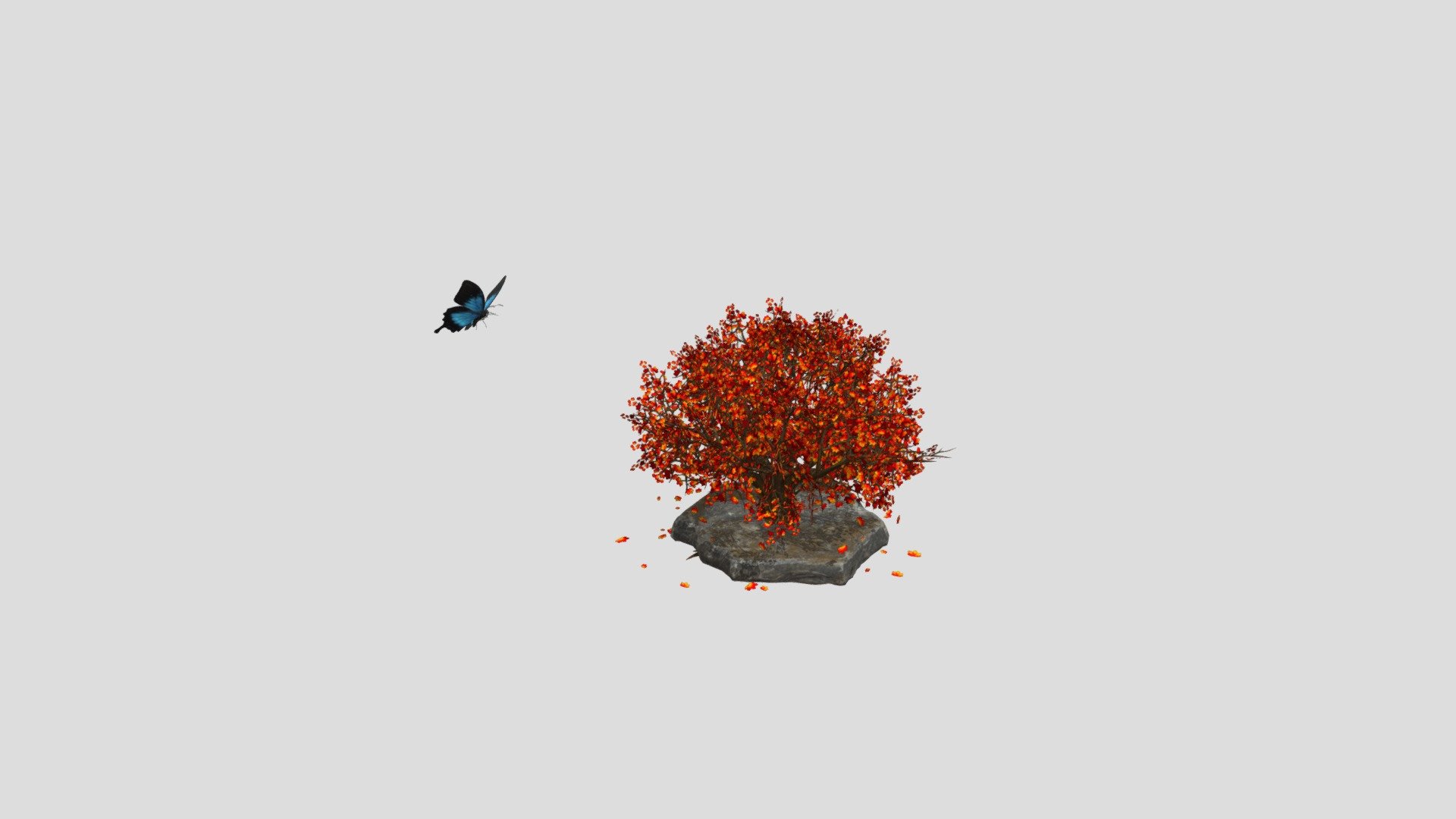Albero