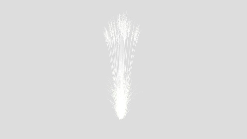Grass Molinia Caerulea Heidebraut