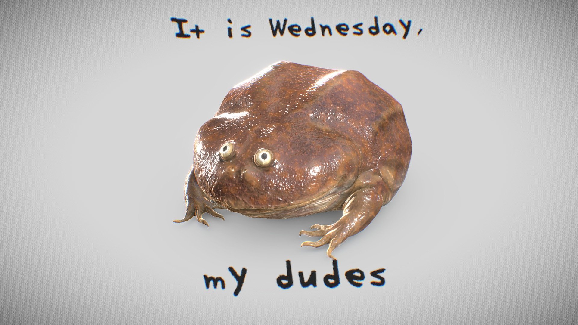 It is Wednesday, my dudes