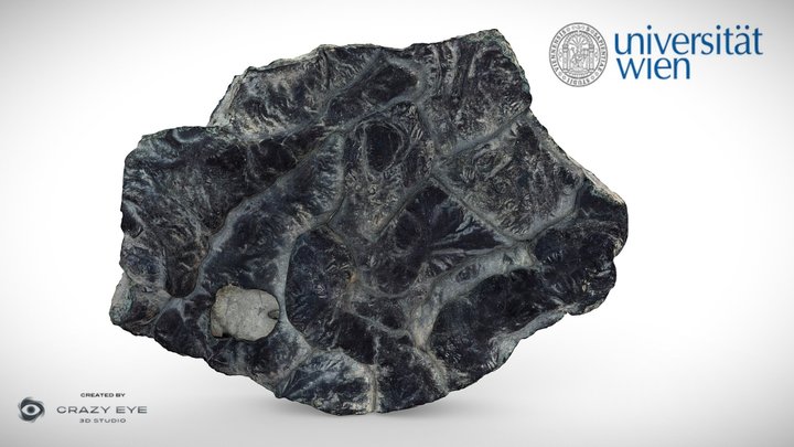 Slag 3D models - Sketchfab