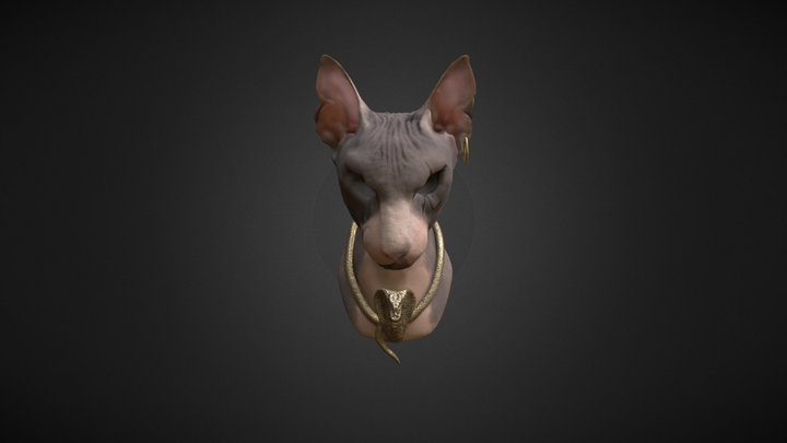 CAT SPHYNX PROJECT 3D Model