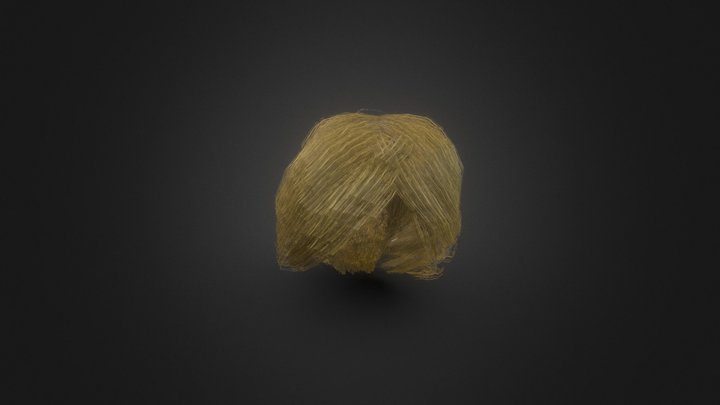 Elyssa's Bun Hair (Blonde) 3D Model