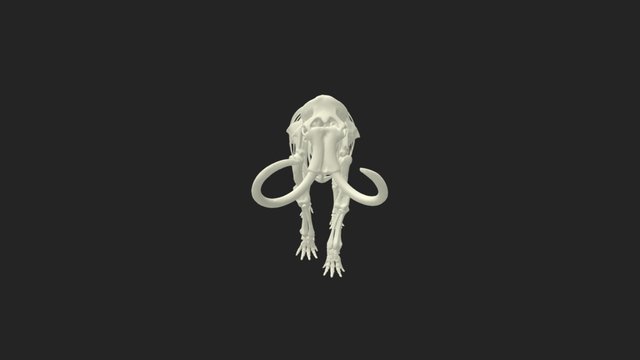 Mammut Skelett Mammut - Museum Niederweningen 3D Model