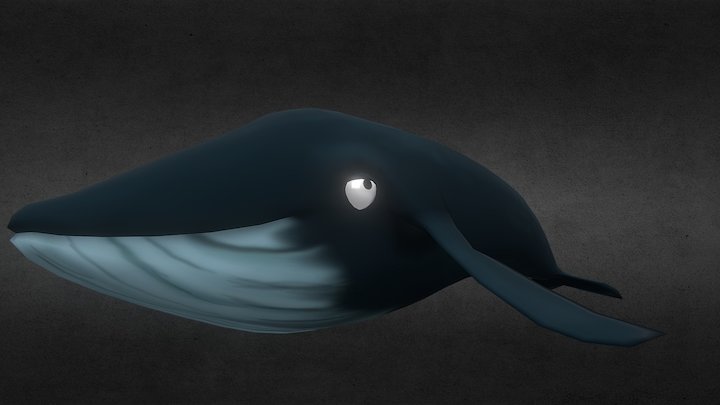 baby humpback whale 3D Model