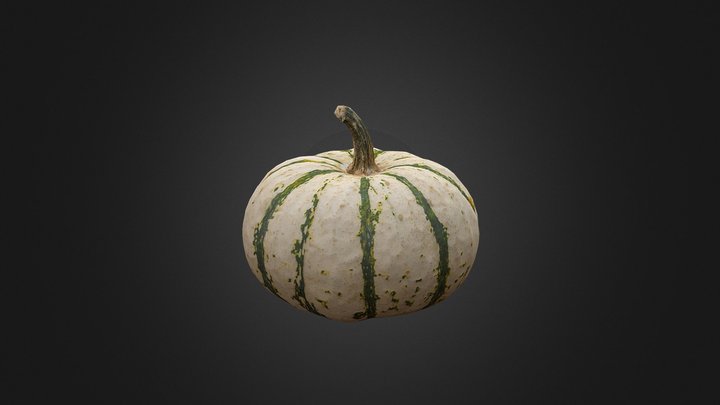 Pumpkin 3D Scan 3D Model