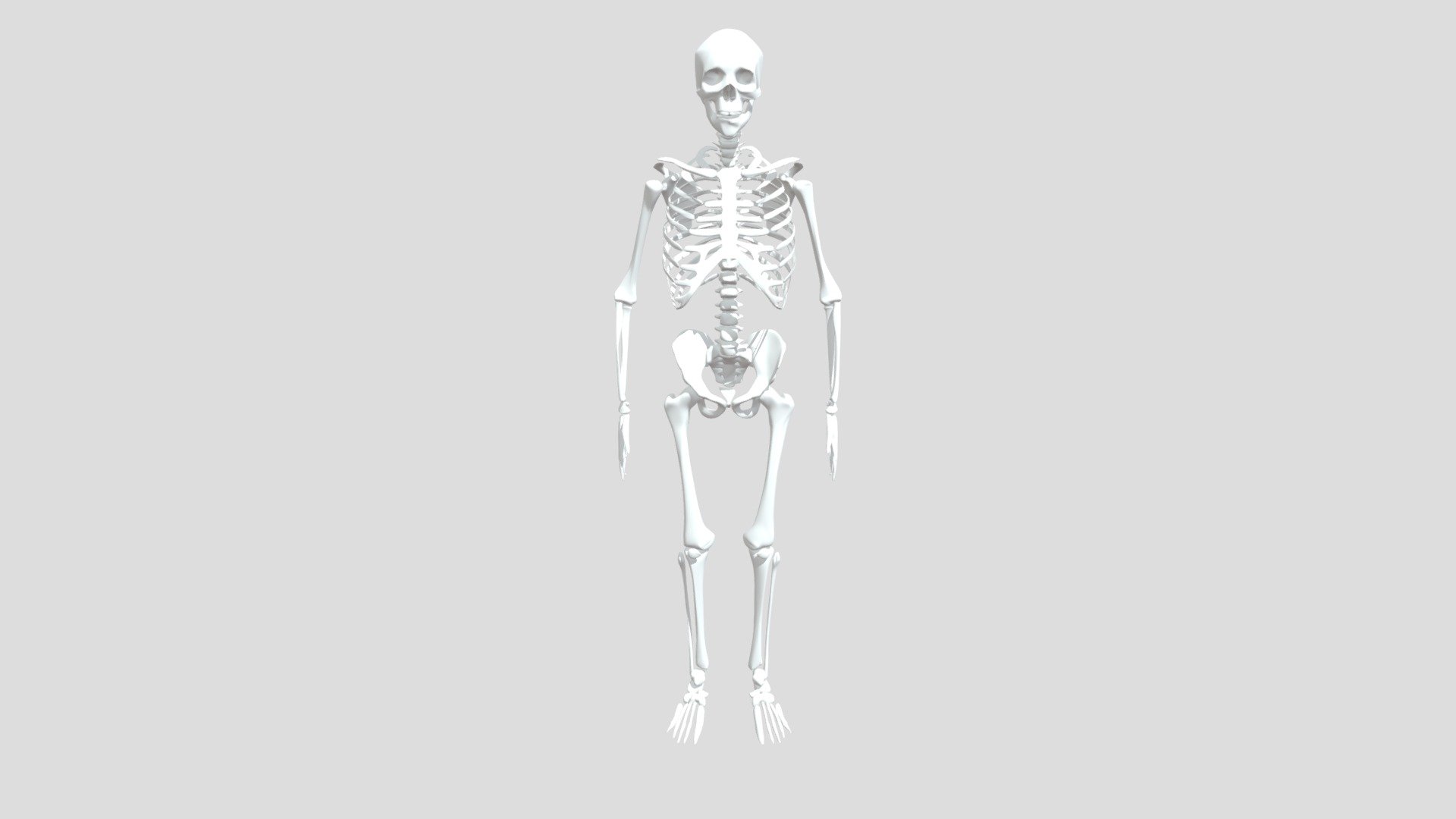 skeleton