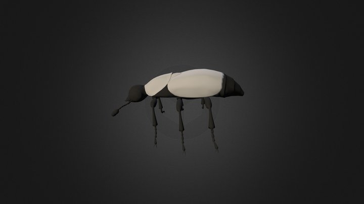 Beetle 3D Model