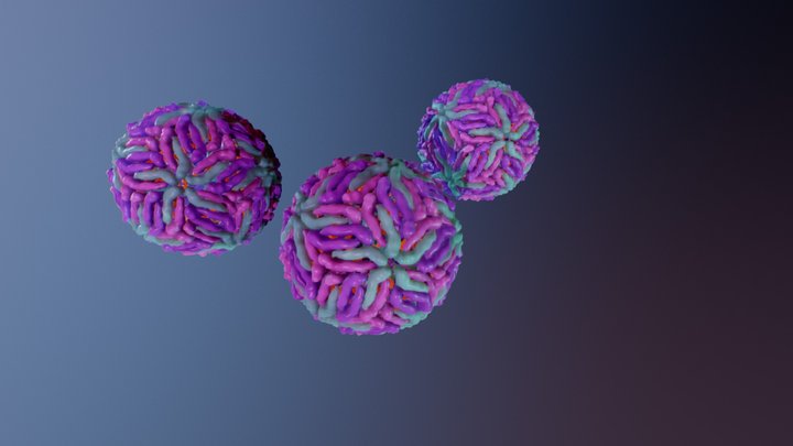 Zika Virus 3D Model