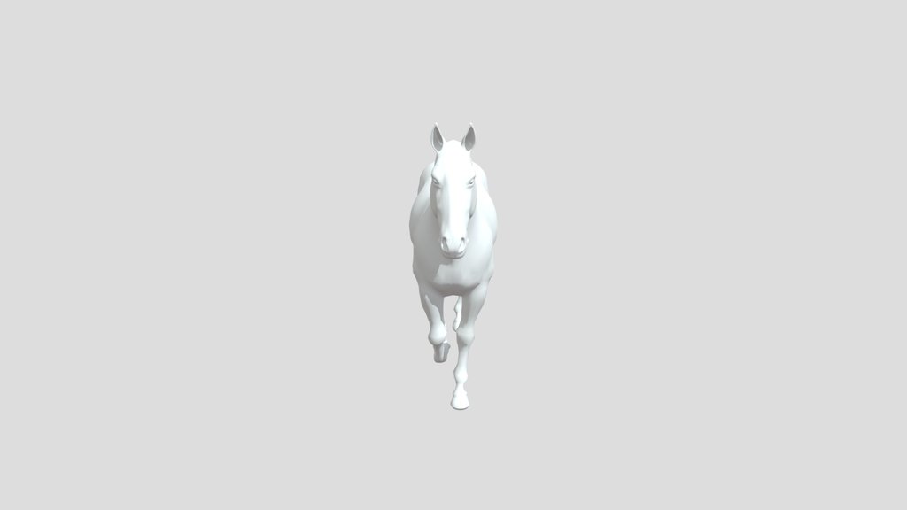 Horse Walk