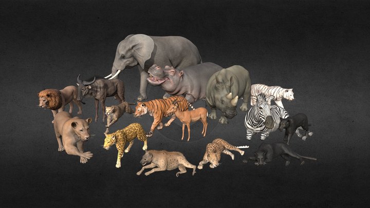 African Animal Pack 3D Model