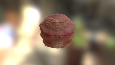 Mars? 3D Model