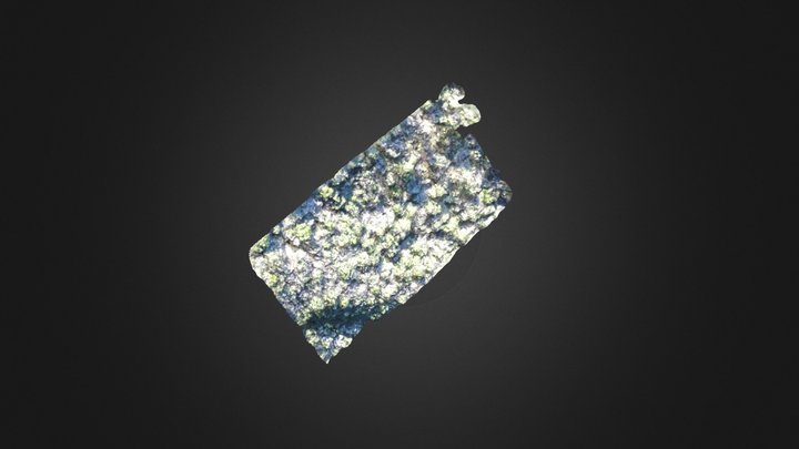 PARCELA 195 3D Model