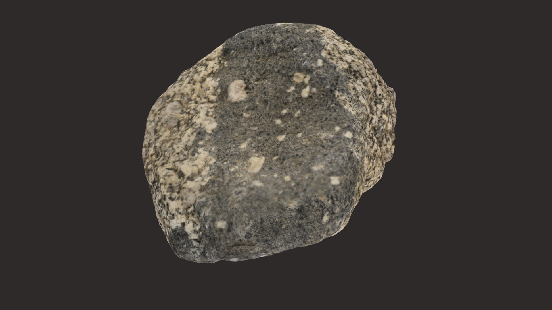 Little Cottonwood Ganodiorite with Mafic Enclave