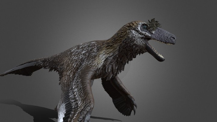 Dakotaraptor 3D Model