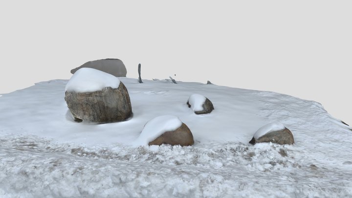Scan #6 : More Rocks and Snow 3D Model