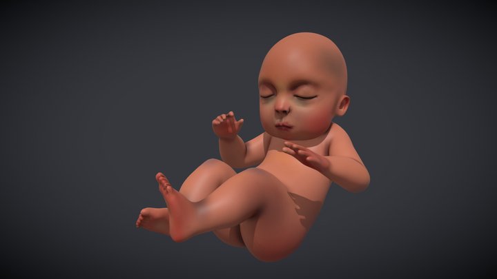 Baby growing stage 3D Model