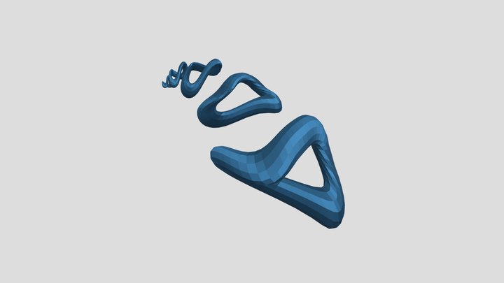 topologia 3D Model