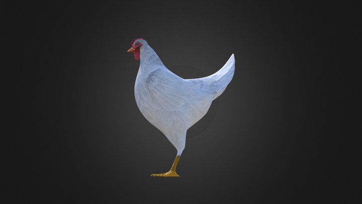 Chicken Modal 3D Model