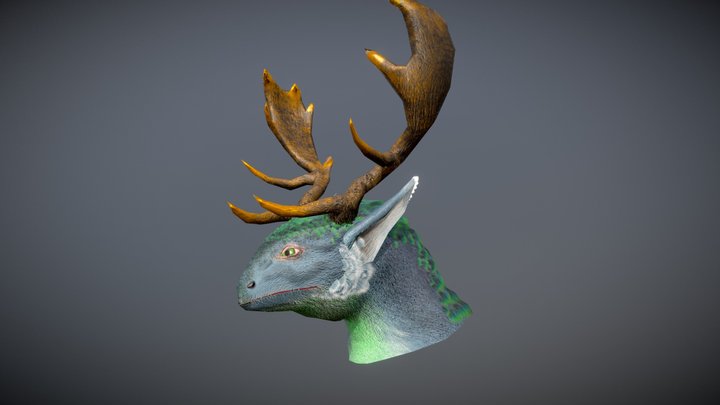 Tete Animal Fourrure 3D Model