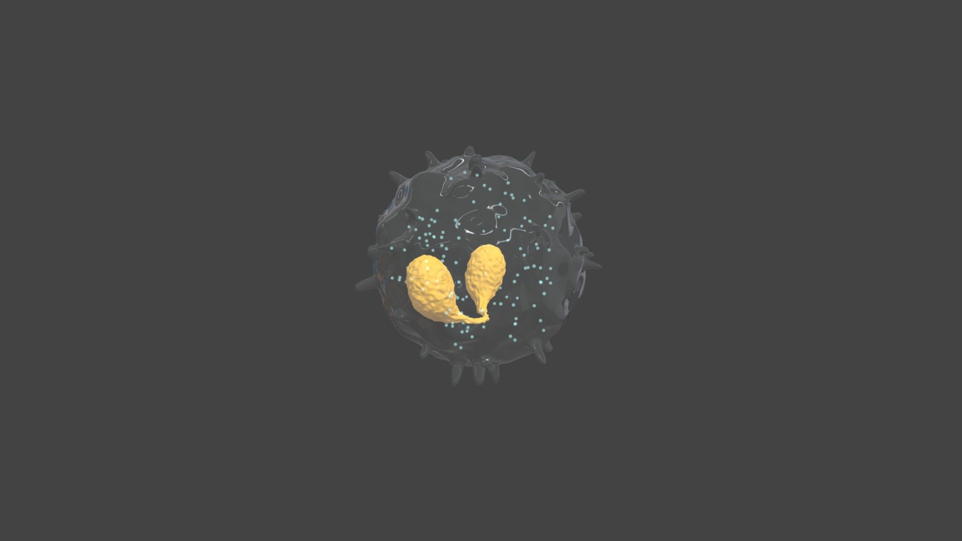 【Leukocyte】Eosinophil