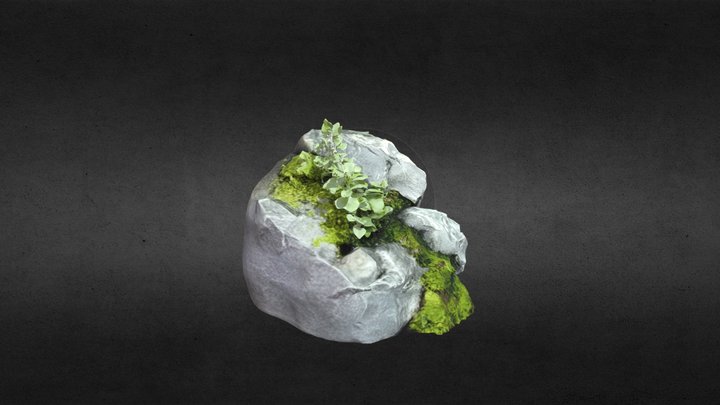 Rock 3D Model